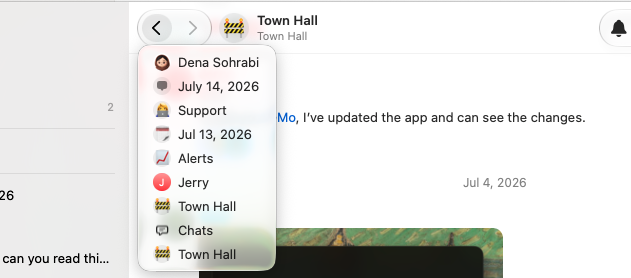Previous chats and dates in the macOS back-button history menu